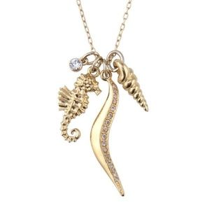 Stella & Dot's Sunset Beach Charm necklace